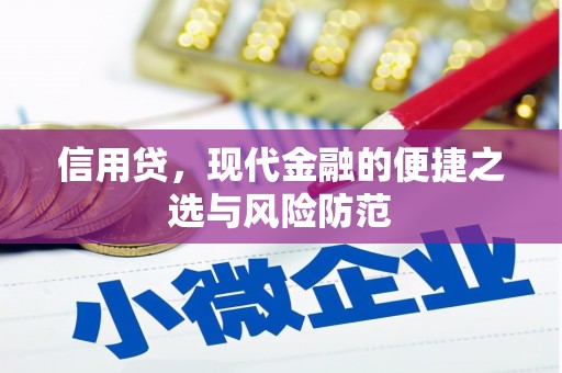 清丰信用贷，现代金融的便捷之选与风险防范