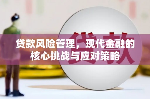 清丰贷款风险管理，现代金融的核心挑战与应对策略