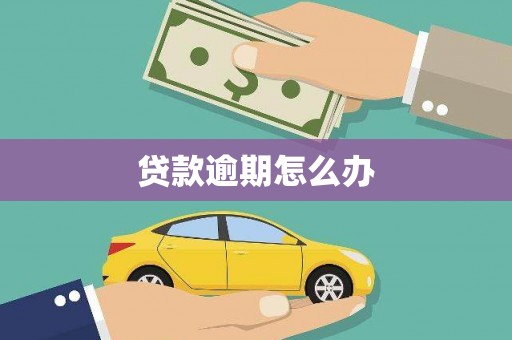 清丰贷款逾期怎么办
