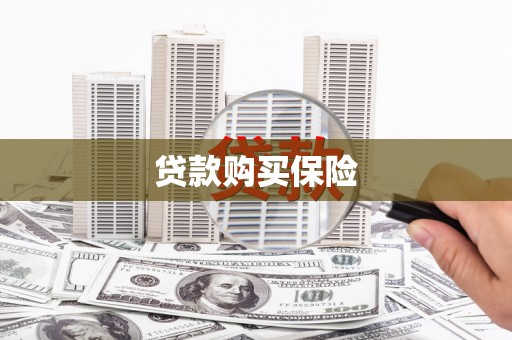 清丰贷款购买保险