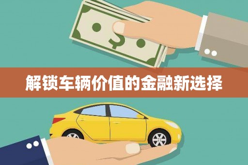 清丰解锁车辆价值的金融新选择