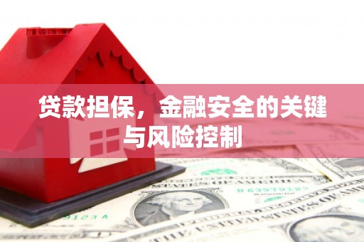 清丰贷款担保，金融安全的关键与风险控制