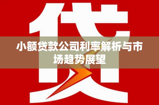 清丰小额贷款公司利率解析与市场趋势展望