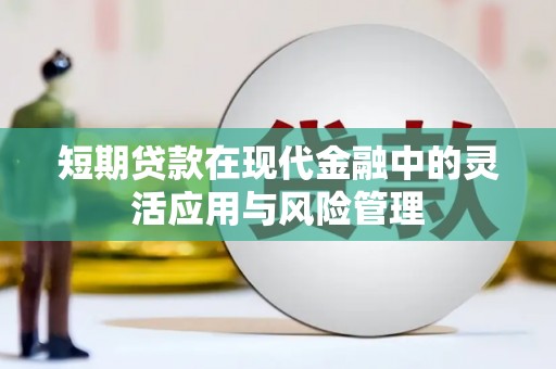 清丰短期贷款在现代金融中的灵活应用与风险管理