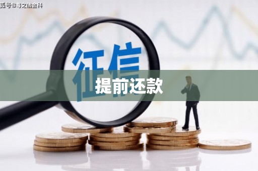 清丰提前还款